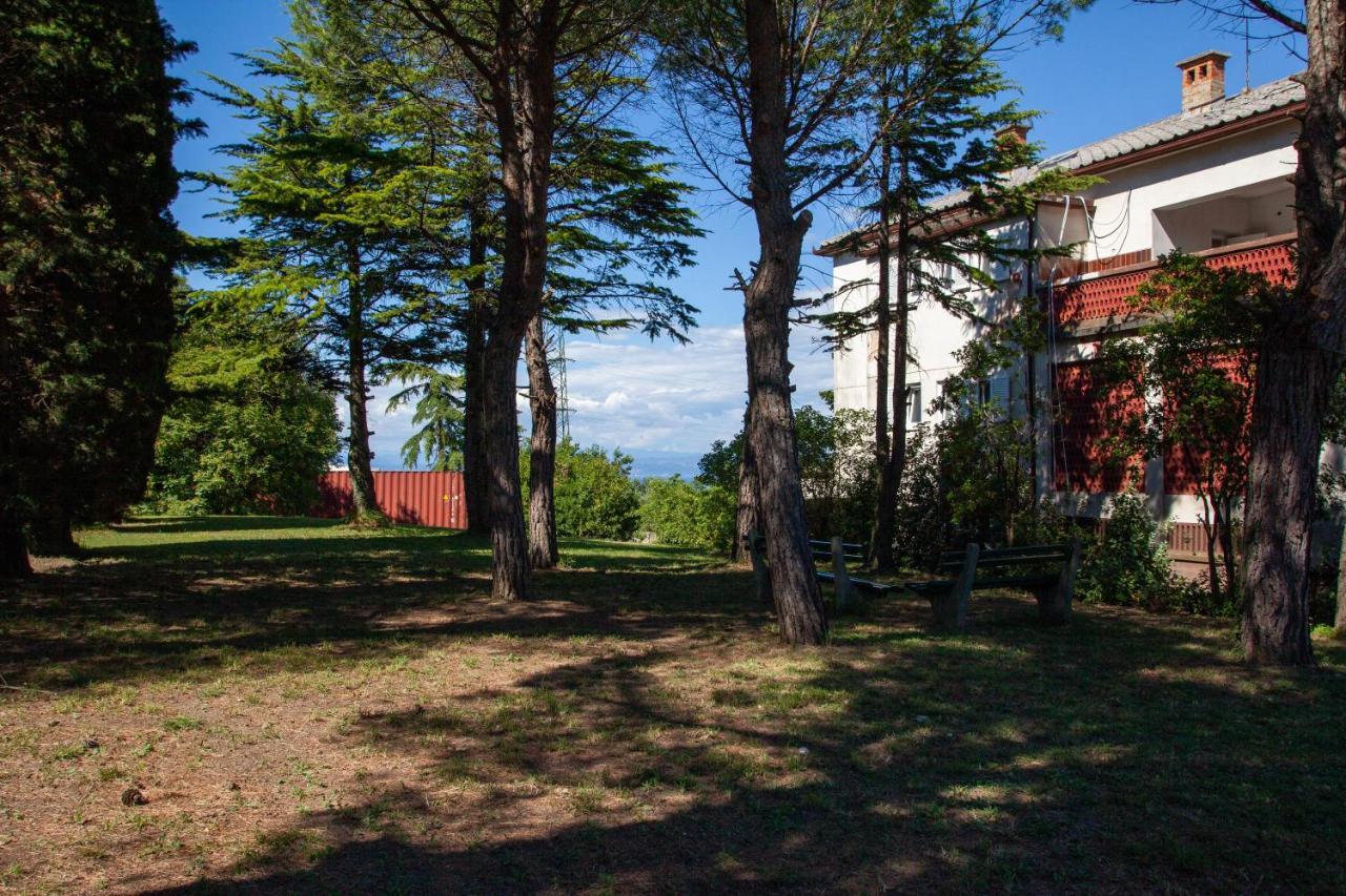 Trobenta In Oblak * Portoroz