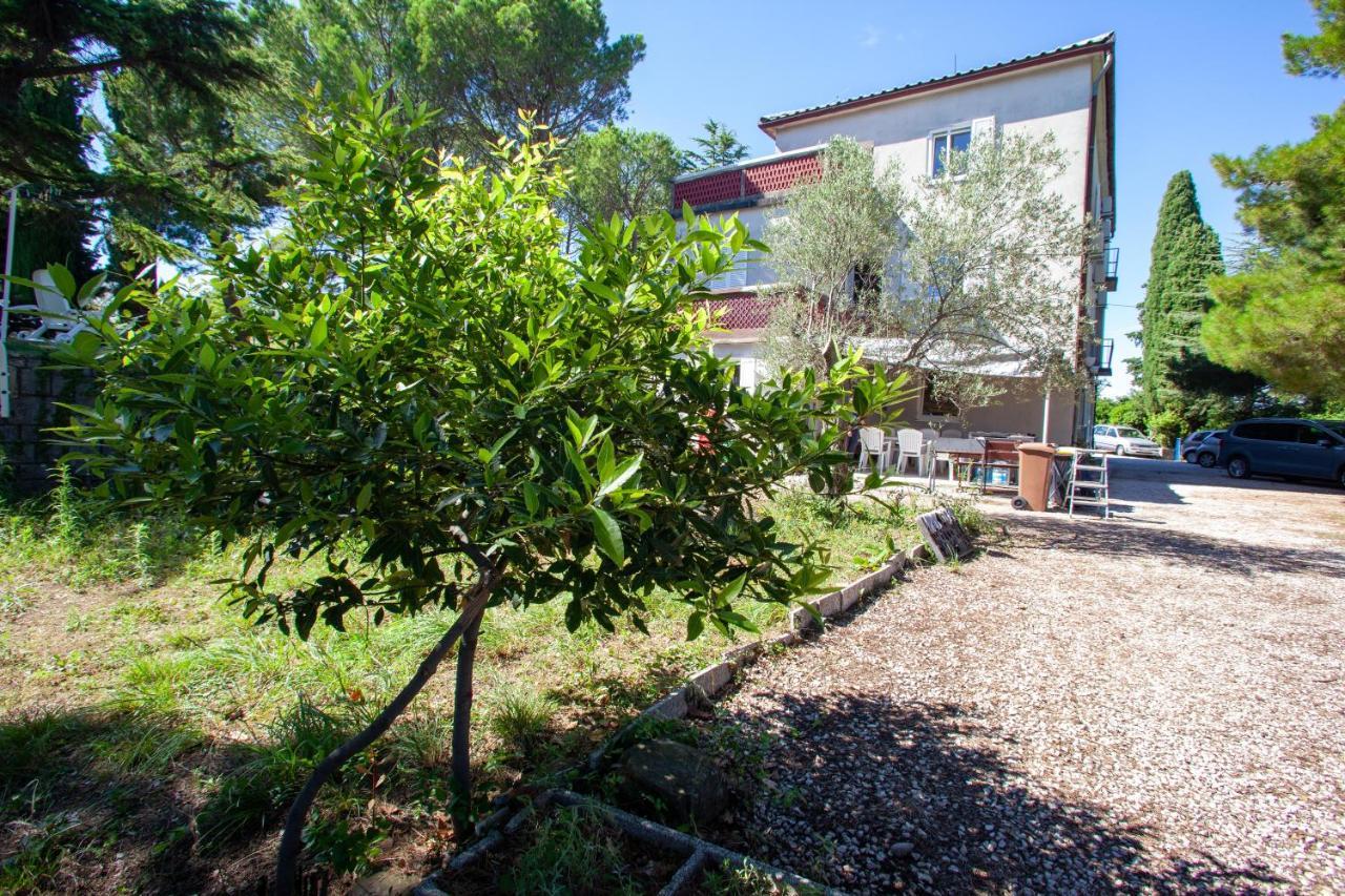 Trobenta In Oblak Hostal Portoroz
