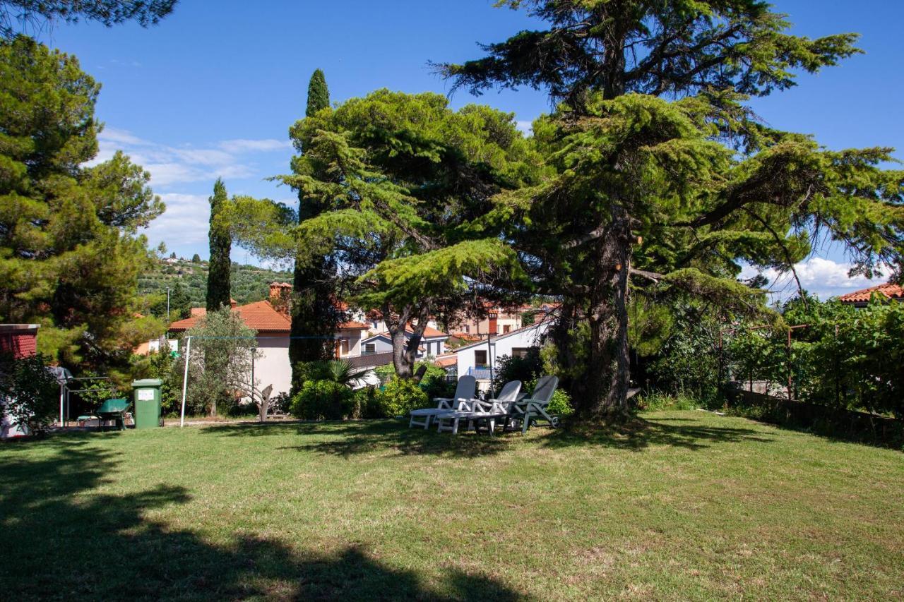 Ostello Trobenta In Oblak Portorose