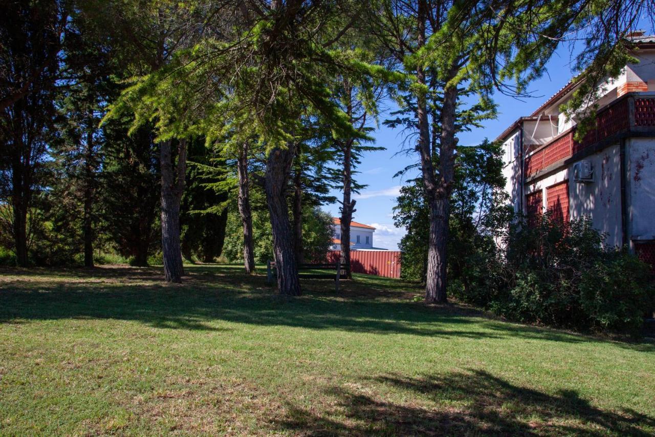 Trobenta In Oblak * Portorose